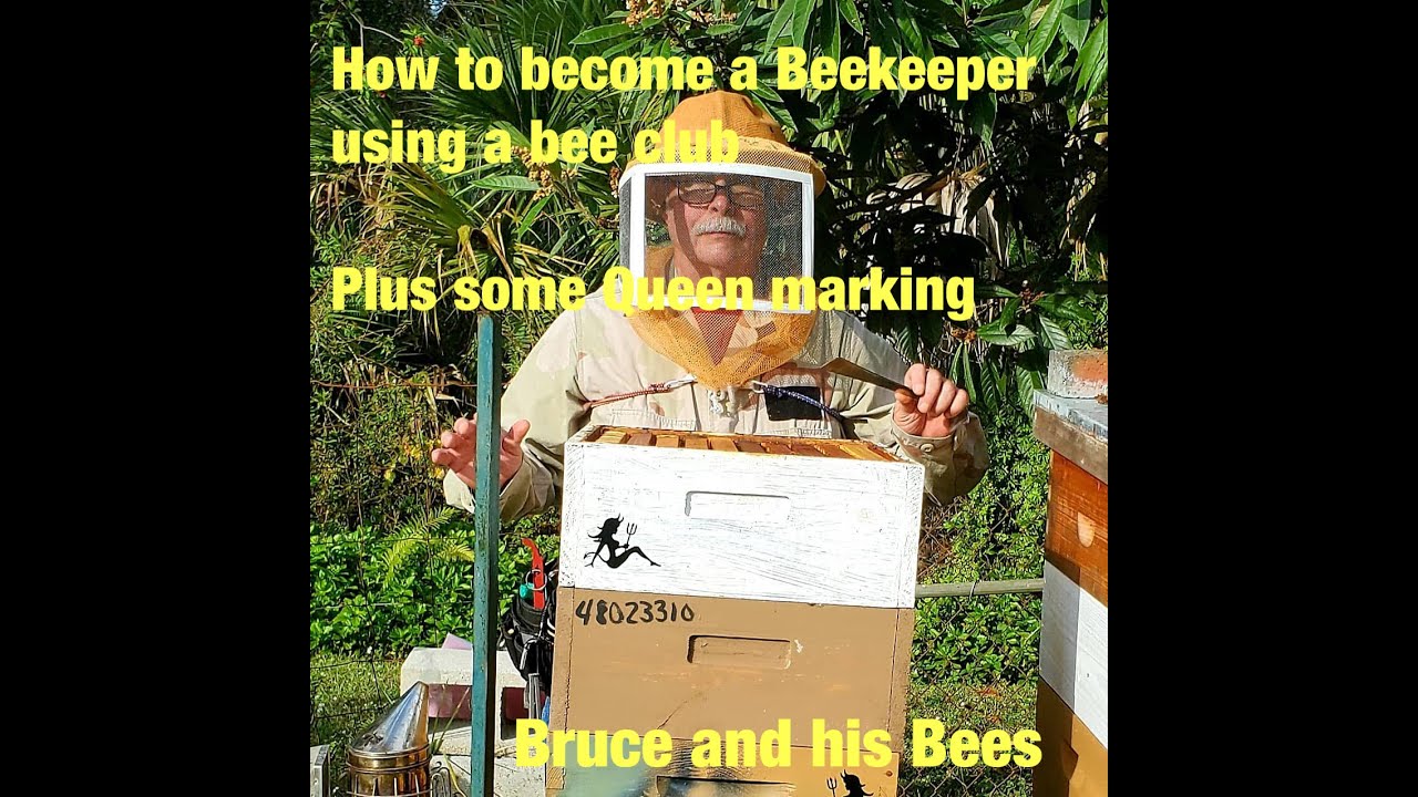 How to Become a Beekeeper