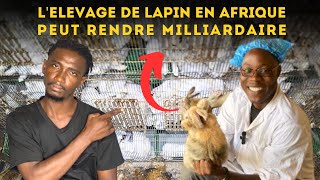 Devenez RICHE dans l'elevage de LAPIN en Afrique avec cette méthode. Les bonnes pratiques à observer