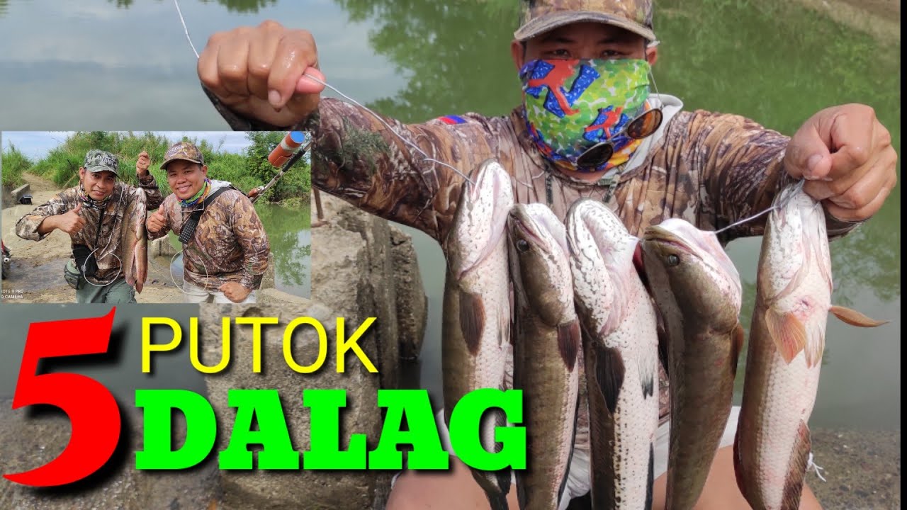 RESBAK S.I.B (TIKSAY FISH HUNTING) 5 BIG DALAG, 5 PUTOK