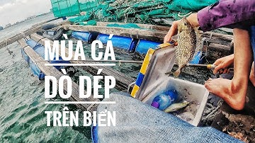 Câu Cá Dò Biển_Cá Dò To Một Ngày Biển Động