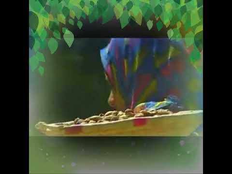 المحميات الطبيعية في المغرب 