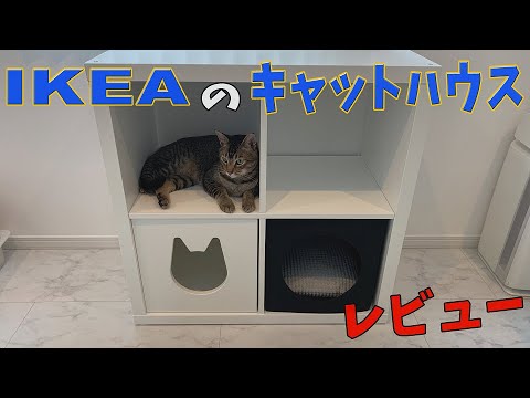 第46回 IKEAのキャットハウス レビュー - YouTube