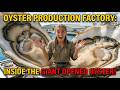 Inside the Oyster Processing Mega Factory: From Sea Harvest to Luxury Seafood