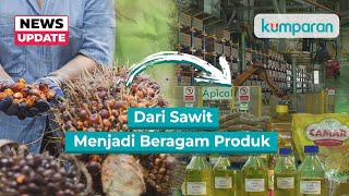 Sawit Lebih dari Sekadar Minyak Goreng: Menelusuri Potensi Hilirisasi Minyak Sawit