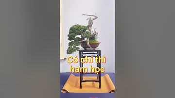 Lời dạy của Đức Khổng Tử-giá trị cốt lõi của đạo đức