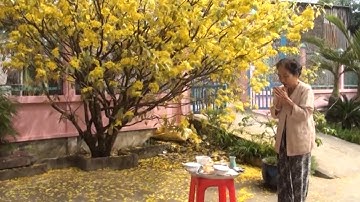 Tin Tức 24h Mới Nhất: Tục rước ông bà ngày Tết ở Nam Bộ