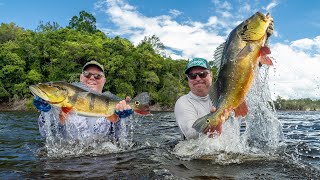 MOSTER Peacock Bass  Adventures in Brazil.