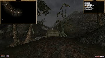 TES3MP FootPrints script showcase