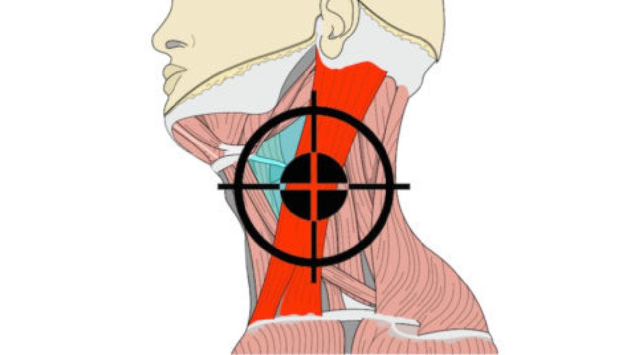 Knife Hand strike attack Knife hand knockout Knife hand strike self