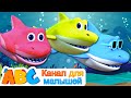 Shark song |@Канал для малышей - ABC Russian | Полиция акул |Пойте с акулёнком | Детские развивающие