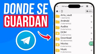 DONDE se GUARDAN los ARCHIVOS de Telegram? (Guia Rapida)