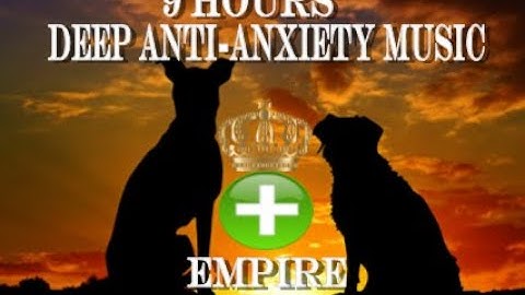 9 Hours of Deep Separation Anxiety For Dog Relaxation(tested)