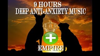 9 сати узнемирености за дубоку сепарацију за опуштање паса (тестирано)