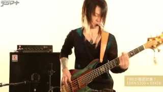FIREが徹底試奏！EDEN E300+EX410
