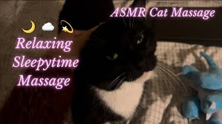 Relaxing Cute Cat ASMR Massage: Head and Back Massage Featuring Purrs & Scratches by SandyPetMassage 227 views 4 weeks ago 5 minutes, 45 seconds