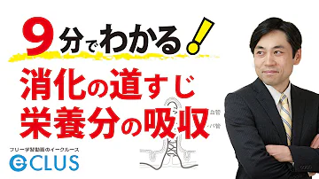 中2理科 消化と吸収 Mp3