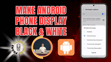 How To Make Android Phone Display Black & White - Full Guide [2025]