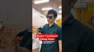 Ekspor 1 kontainer udang kipas #udangkipas #slipperlobster #lobster #ekspor #eksporindonesia