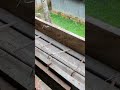 journalist lettering #বিল্ডিং #video #construction