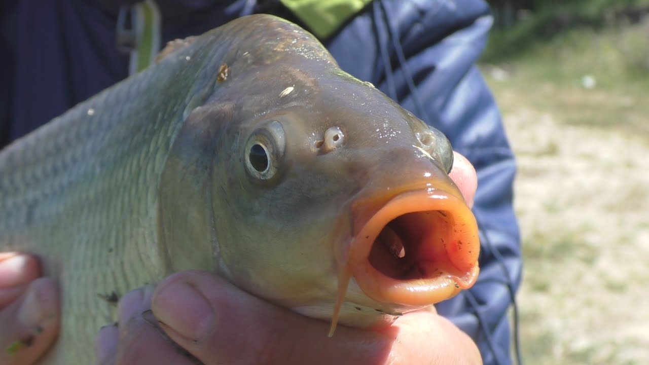 Рыбалка на платнике. My fishing.