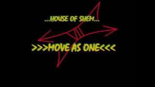 Download lagu House Of Shem - Move As One