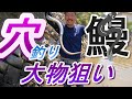 穴釣りで大物うなぎ狙い の動画、YouTube動画。