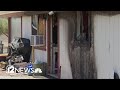 Man arrested for allegedly setting ex-girlfriend's house, vehicles on fire in West Valley