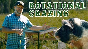 Rotational Grazing | Moving the Animals Out of the Barn and onto the Pasture