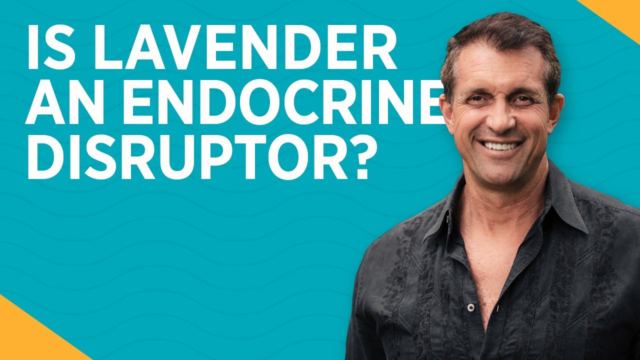 Is Lavender An Endocrine Disruptor Dr Kirk Parsley, MD YouTube