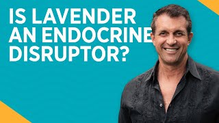 Is Lavender An Endocrine Disruptor | Dr Kirk Parsley, MD