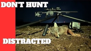 Two nights of successful thermal coyote hunting