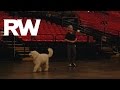 Robbie Williams | Introducing Spencer