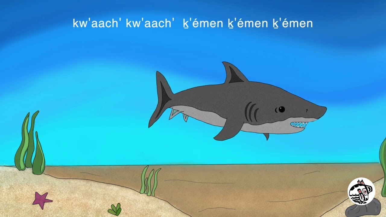 Sts’ukwi7 sts’ukwi7 slulum   Slippery Fish Song in Squamish Language