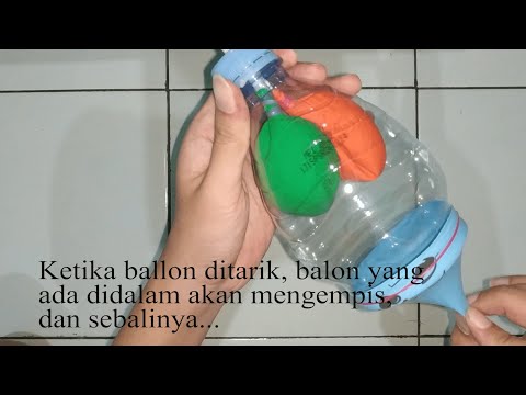 Praktikum Model Sederhana Organ Pernapasan Manusia