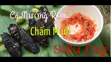 Cá Nướng Rơm Cuốn Bắp chuối Nông Dân Miền Tây-Cá Lóc Nướng Trui-Grilled fish is super delicious