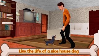 🐶👍Chihuahua Dog Simulator 3D-Симулятор Cобаки Чихуахуа-By WonderAnimals-Android screenshot 4