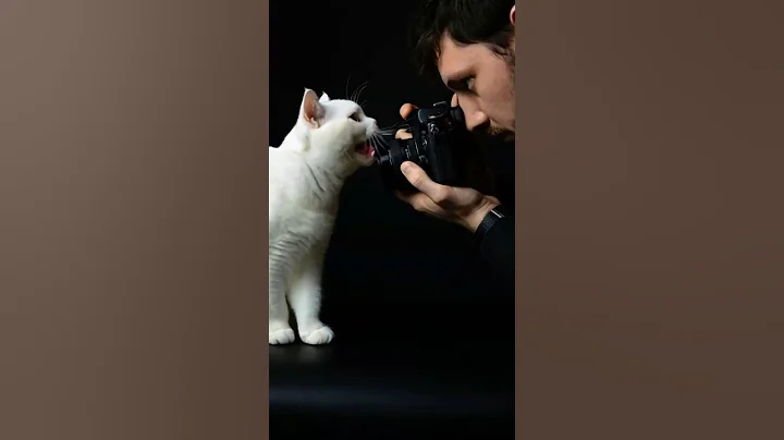 Watch the video about A Professional Photographer's Day of Shooting for Just 2 Great Shots, Hours of Waiting