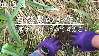 【家庭菜園】緑肥の草マルチで土作りをしたい｜自然農｜農業