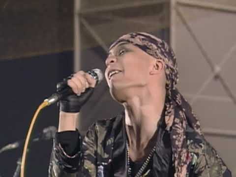 アンジー - 蠅の王様