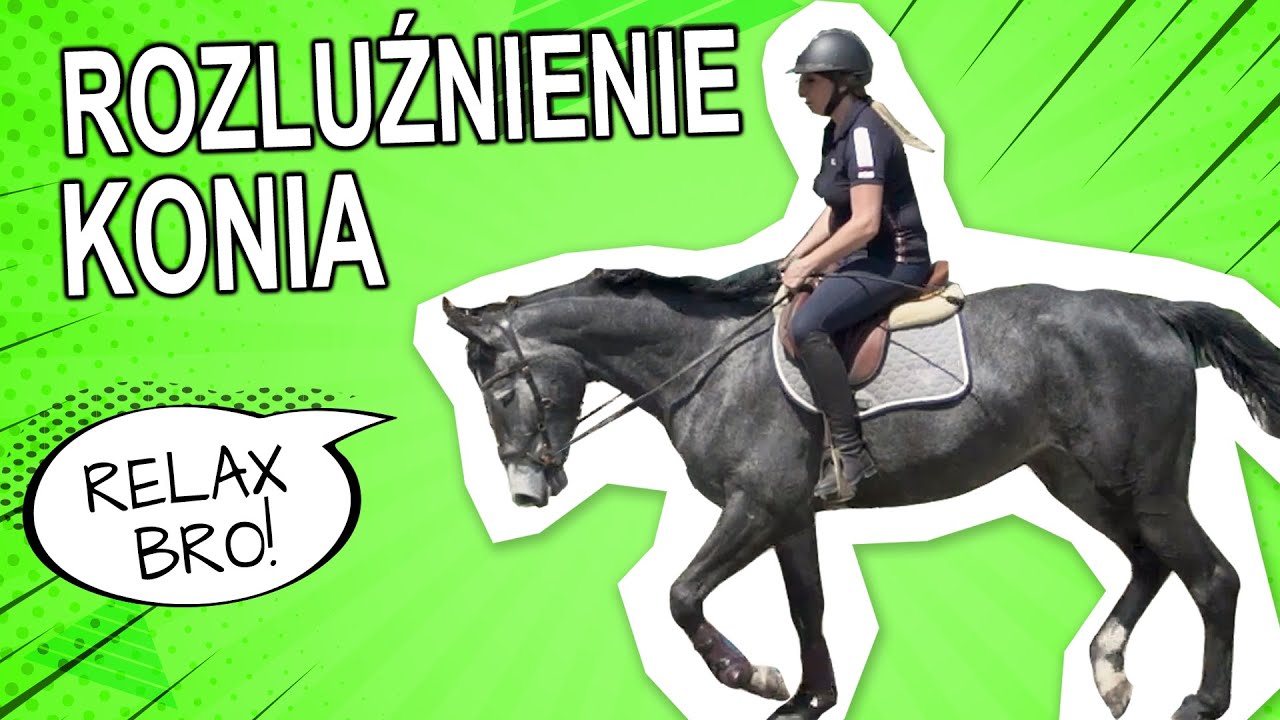 Rozluźnienie Konia
