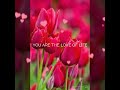 You are the love of my life w/lyrics George Benson and Roberta Flack