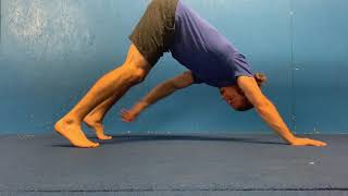 Plank cross body reach