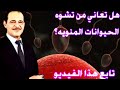 تشوه الحيوانات المنويه - وصفات طبيعيه  فوائد القرنفل مع خبير الاعشاب حسن خليفه