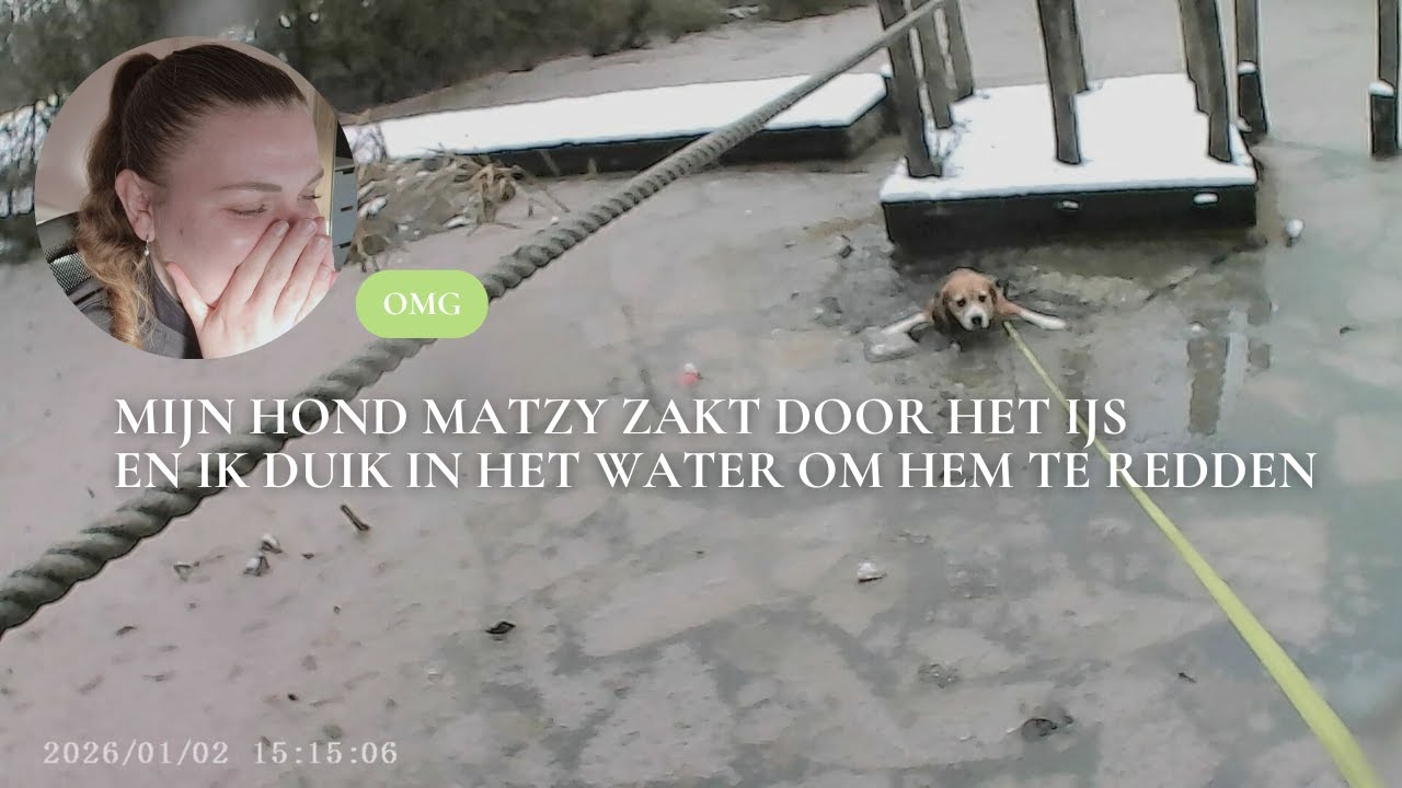 Mijn Hond Matzy zakt door het ijs en ik duik in het water om hem te redden | Laura Sijbers VIEW