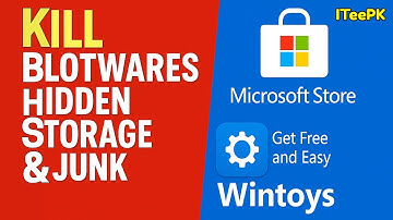 Wintoys Windows 11 & 10 Debloat: Kill  Telemetry, hidden Storage and Bloatware Free
