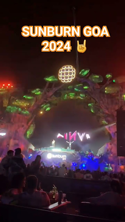 SUNBURN GOA 2024 #trending #goa #newyear2024 #music #youtubeshorts #vlog #viral #shorts #travel