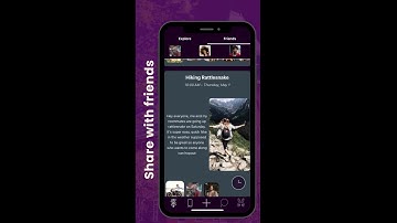 get your Team on hopout