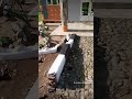 #viral #viral