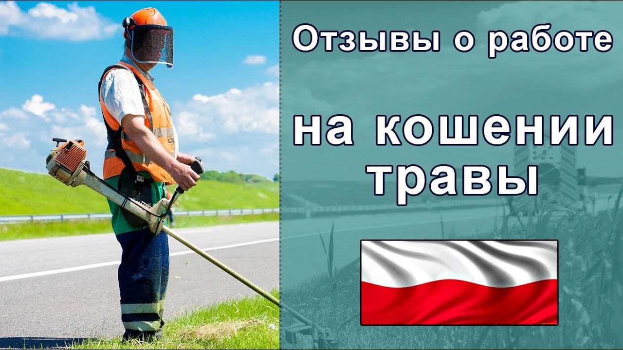 Бмв в польше