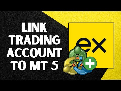 How To Link Exness Account To MetaTrader 5 Step By Step